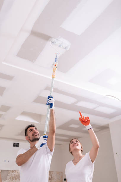 Best Emergency Mold Remediation  in Galesville, WI