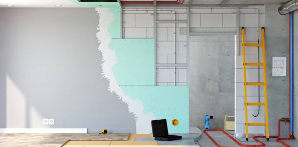 Best Commercial Mold Inspection  in Galesville, WI