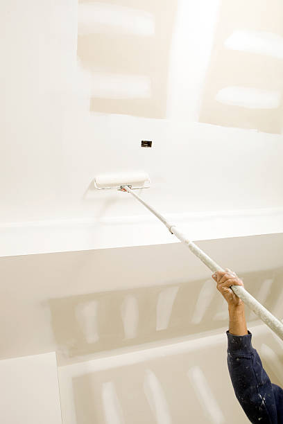 Best Mold Damage Restoration  in Galesville, WI