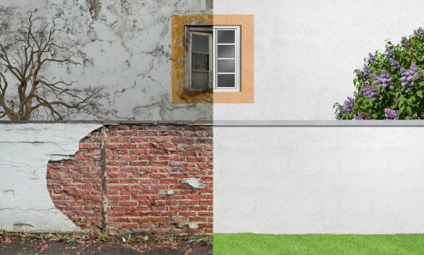 Galesville, WI Mold Removal Company