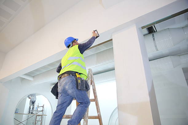 Best Water Damage & Mold Remediation  in Galesville, WI
