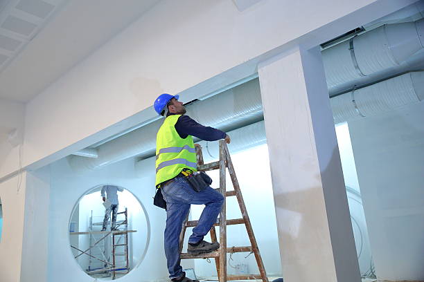 Best Basement Mold Removal  in Galesville, WI