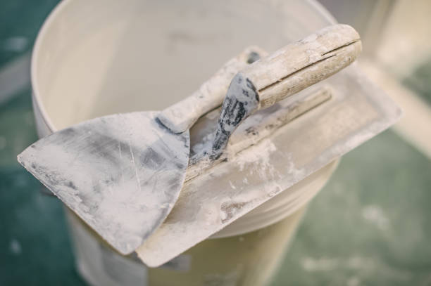 Best Environmental Consulting for Mold Prevention  in Galesville, WI